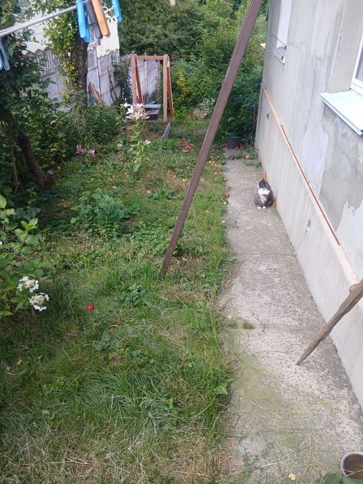 Будинок 1/2 продається
