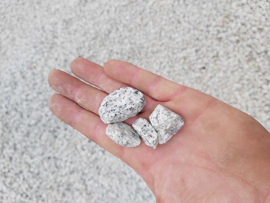 Grys dalmatynczyk, kamien ozdobny do ogrodu, granit Big-Bag