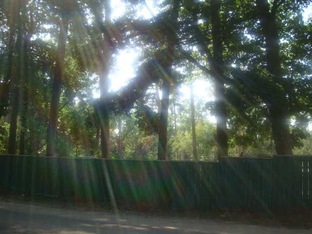 Пуща-Водиця, вул Юнкерова 40 сот або 2 ділянки по 20 сот