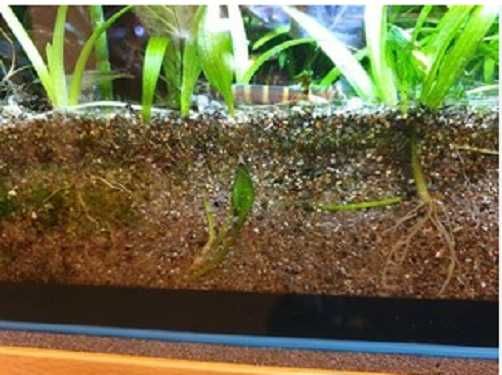 Кварцовий  обкатаний пісок для акваріума. фракція 0,5-2мм 5 кг