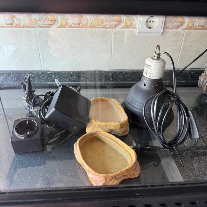 Pack Terrário para Réptil Exo Terra