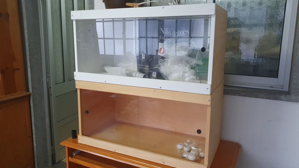 Vários terrarios para répteis para sair