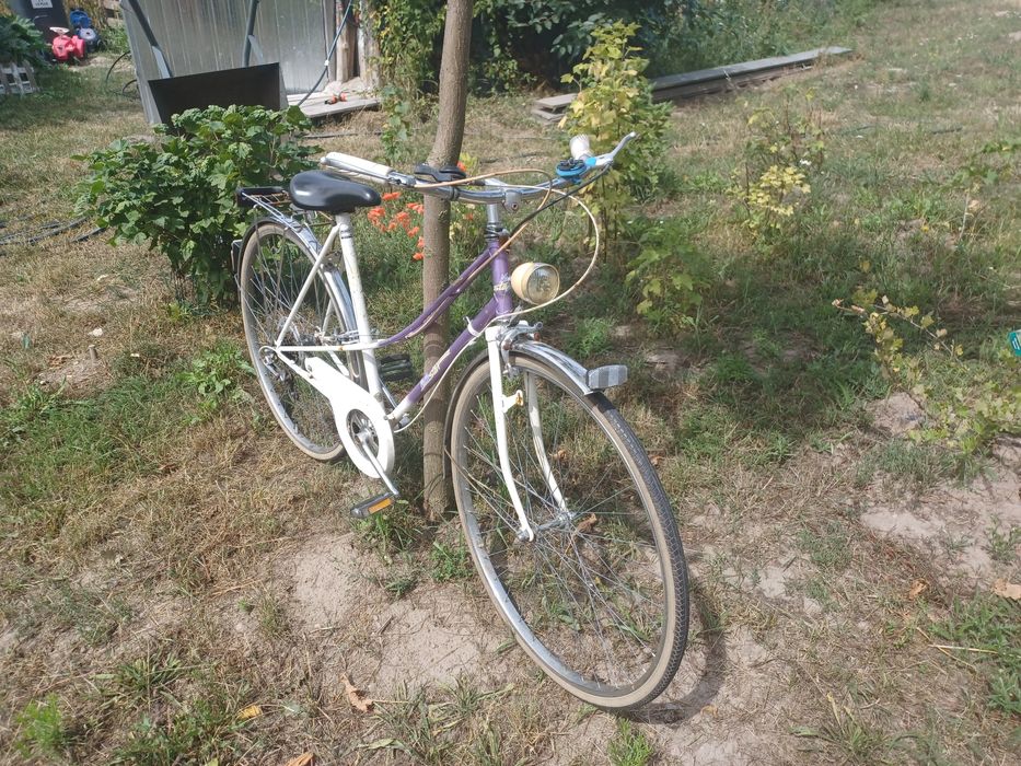 Rower damski holenderski damka Sędziny • OLX.pl