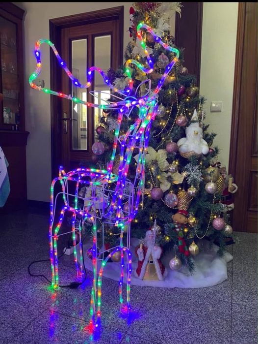 Rena led 1.10 m