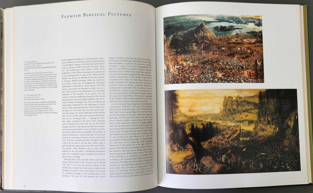 Christian Vohri- Masters of Nederlandish Art: Pieter Bruegel.