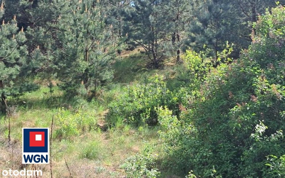 W pobliżu doliny Drwęcy