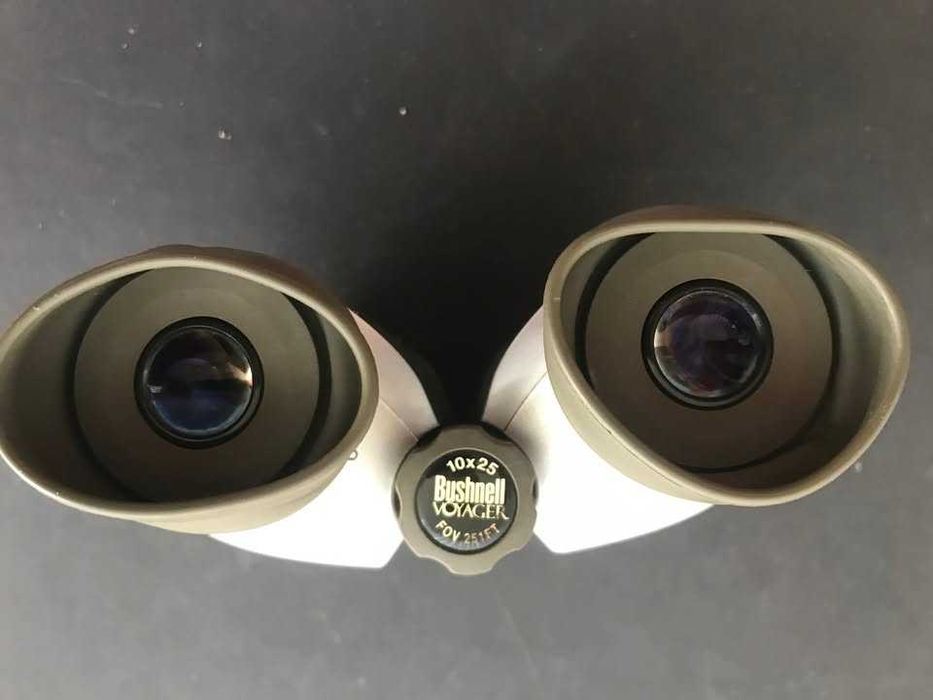 Bushnell Voyager 10x25 Porro Prism Binoculars
am-140125