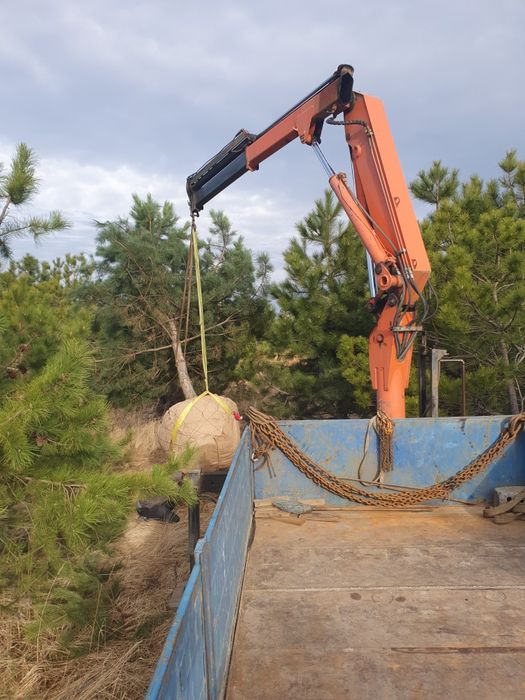Услуги, аренда крана-манипулятора