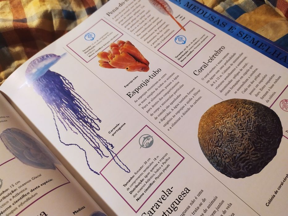 Enciclopédia da Vida nos Oceanos