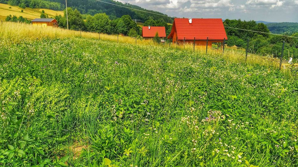 Walim - Działka gotowa do budowy - z projektem i mediami