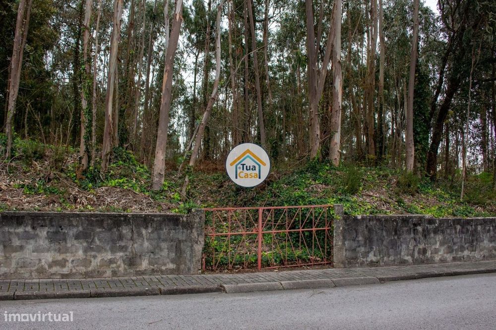 Construction Plot – 4000 m² in Lourosa