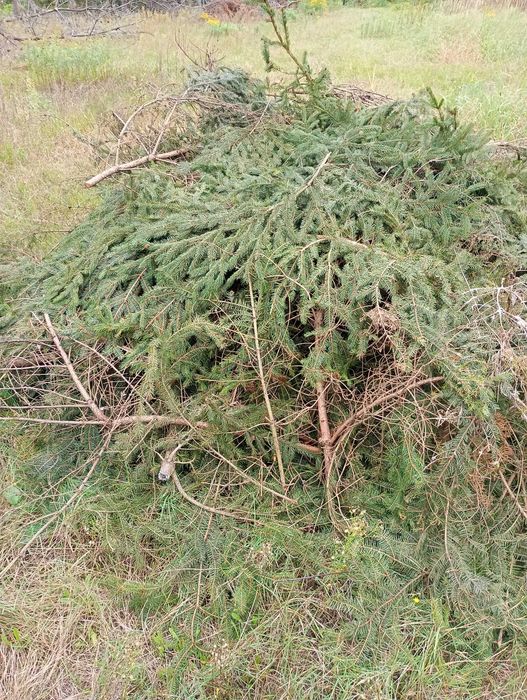 Gałęzie, drewno, pellet