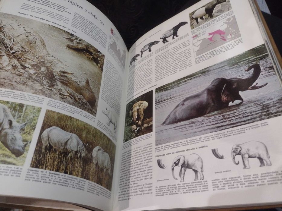 Livro Animais da Terra