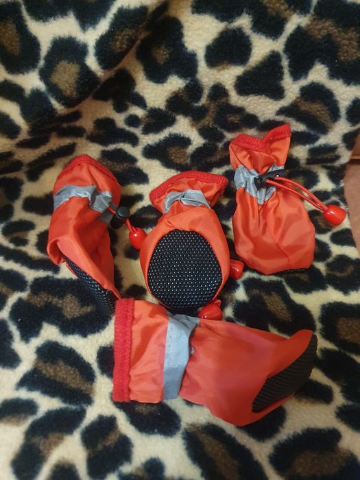 Обувь для собак новая комплект красного цвета