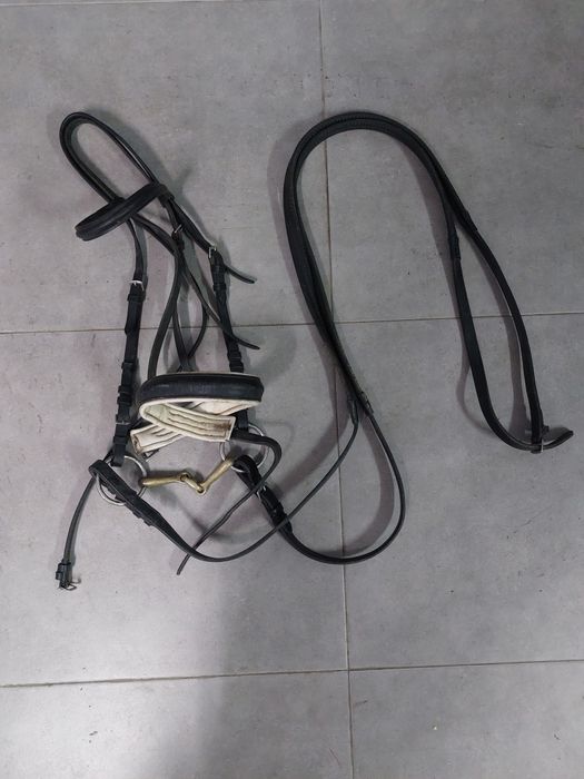 Cabeçadas/ Peitorais/ Gamarra