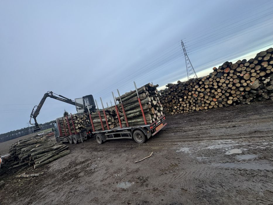 Drewno opałowe kominkowe  S2A s2aAP WDP - papierówka ,kłoda