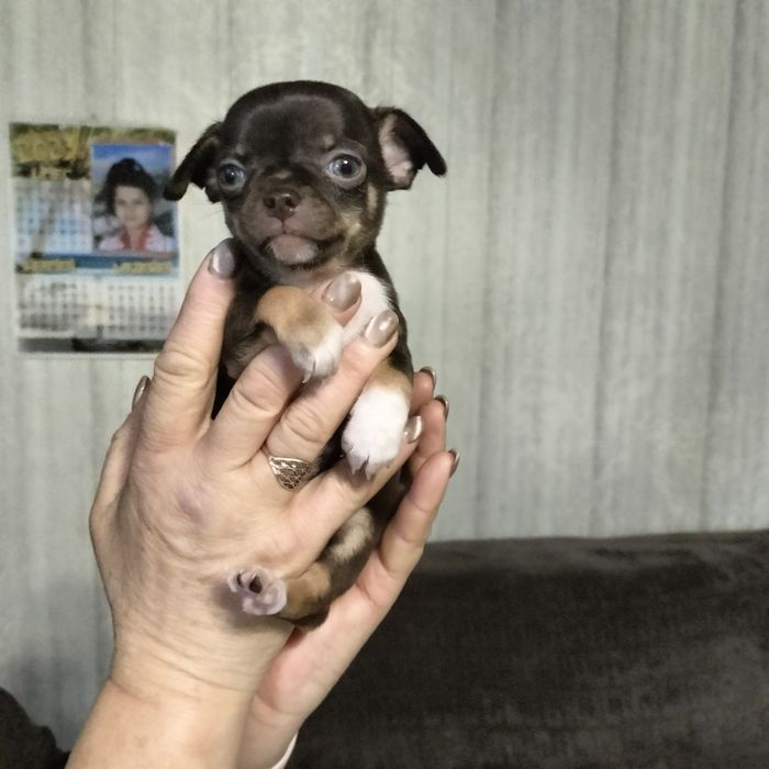 Минички-малышки и мальчишки.