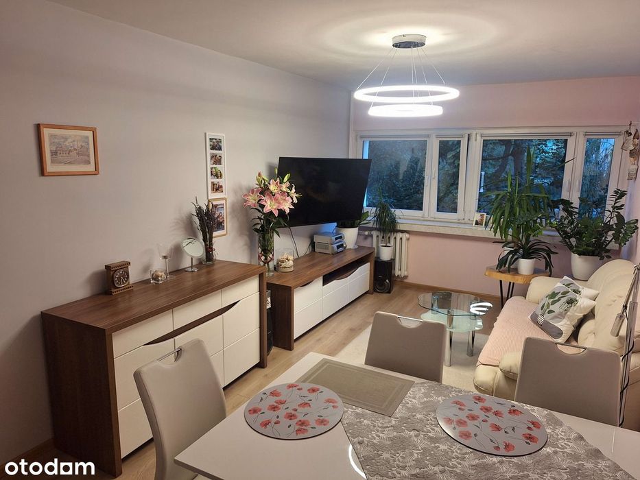 2 pokoje z oddzielną kuchnią, 45 m kw. - Widok 3