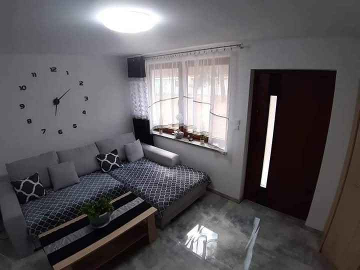 Domki letniskowe 4 osobowe  w lesie nad jeziorem Borek