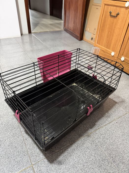 Casa de coelho e animais de pequeno porte