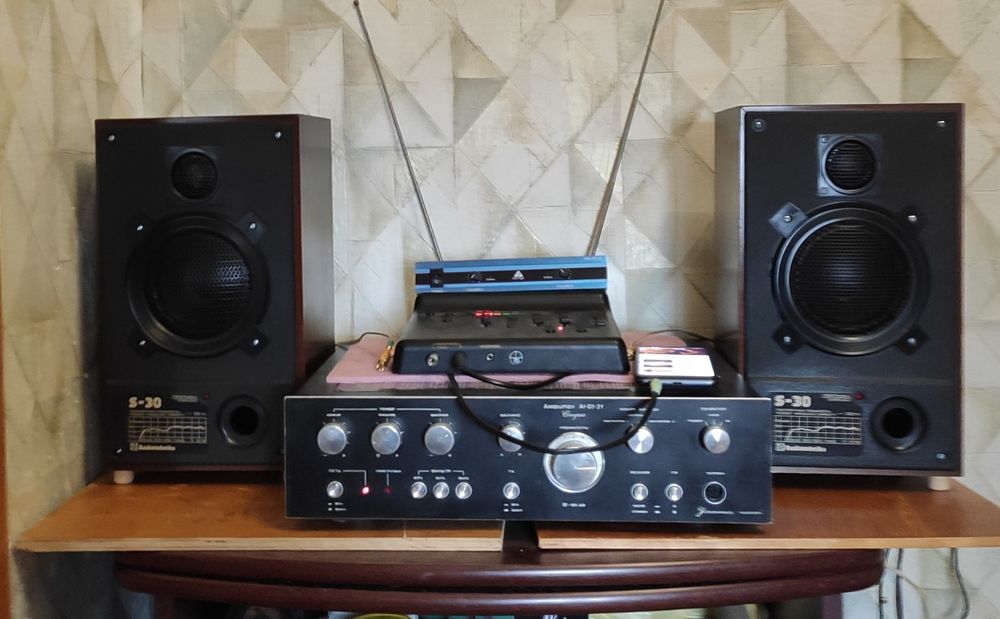 Активная акустика Радиотехника С-30