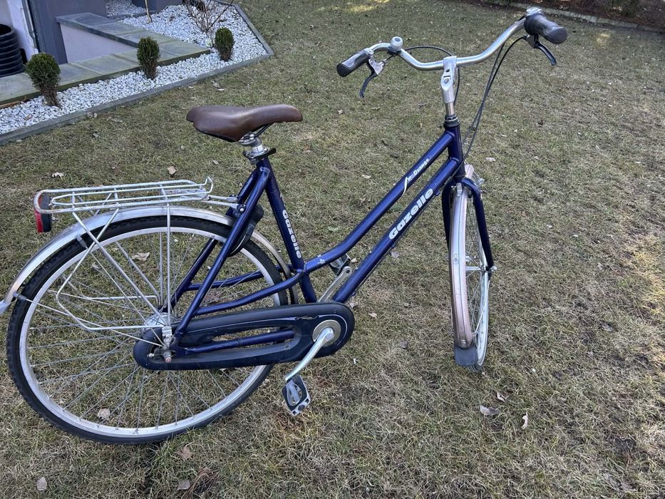 Rowet meski holenderka