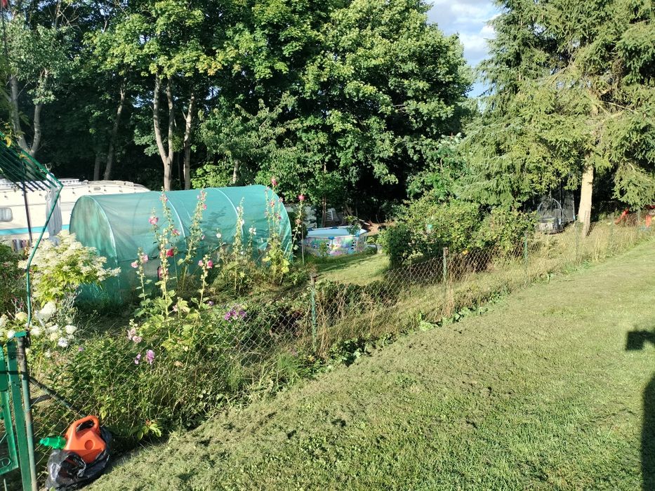 Działka ROD w Straszynie