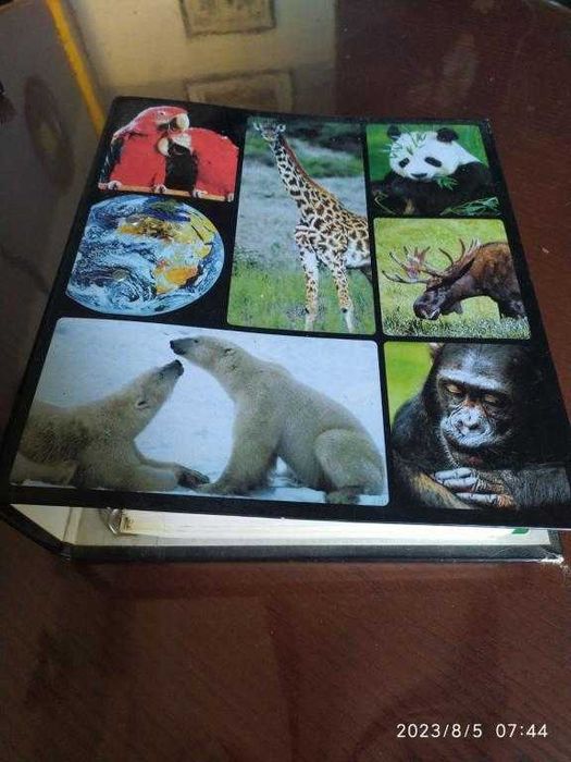 Для школьников. В мире дикой природы. Красочный альбом.