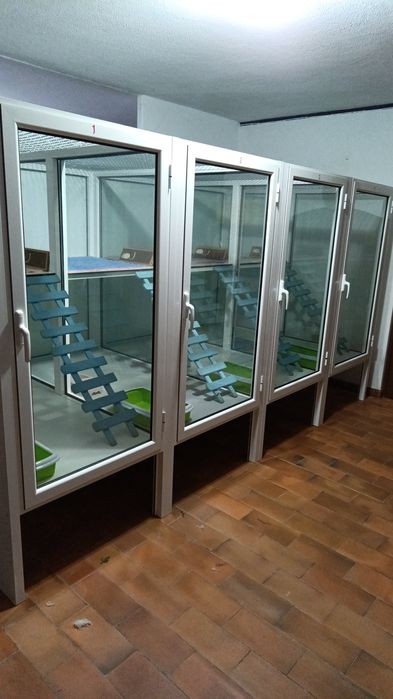 Alojamento para gatos