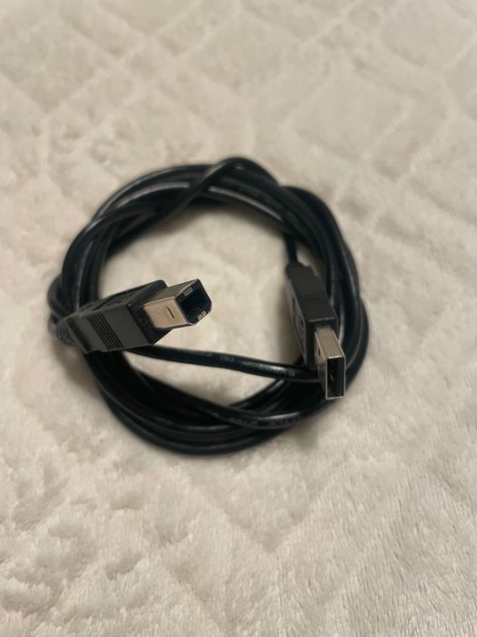 Kabel (USB-A – USB-B) Evertop E117873 AWM Style 2725 Kable do drukarki