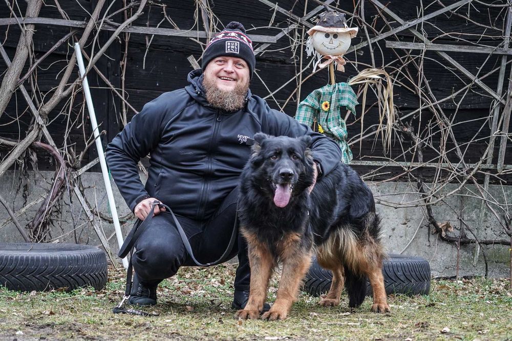 Aira - piękna suczka w typie owczarek niemiecki