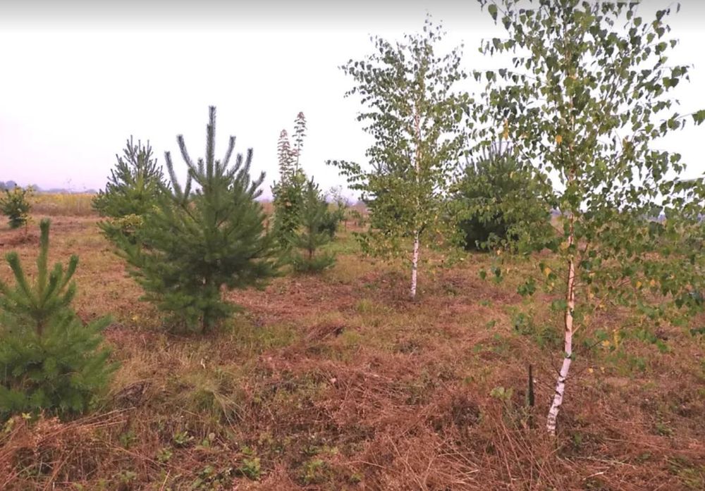 Продаж чудового будинку в затишній локації!