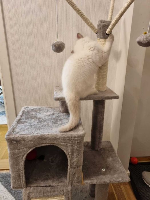 Drzewko domek drapak dla kota szary wieża legowisko 135 cm