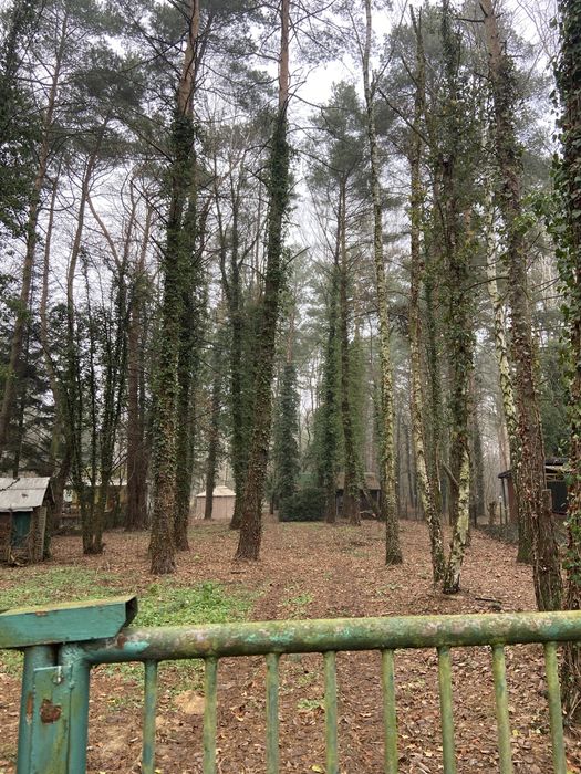 Sprzedam działkę 1600m. Woda, prąd, studnia, ogrodzona