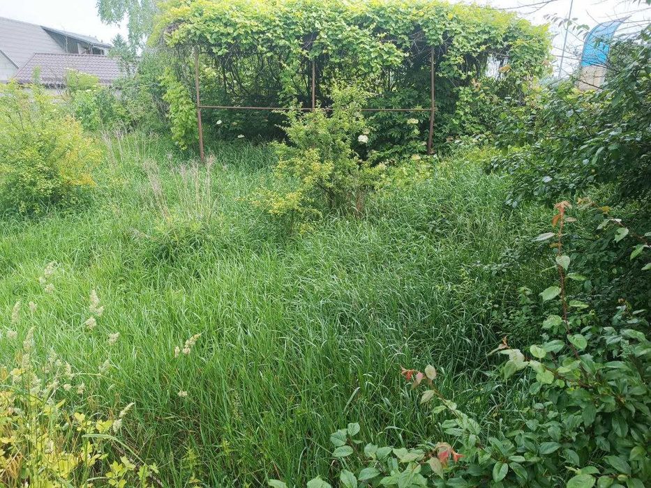 Земельна ділянка в с.Антопіль