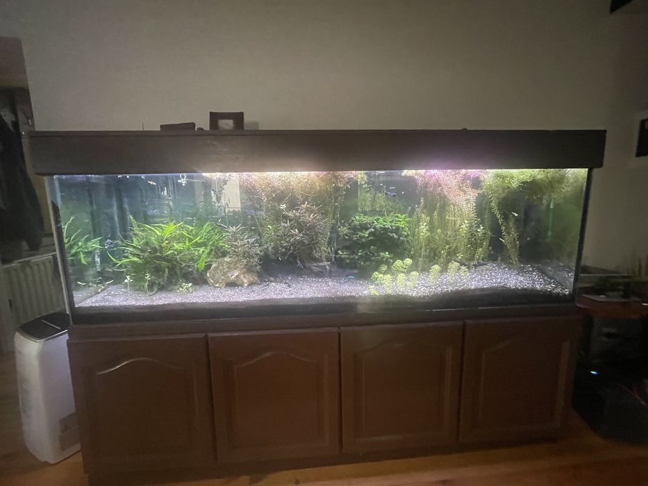Akwarium 200x50x60