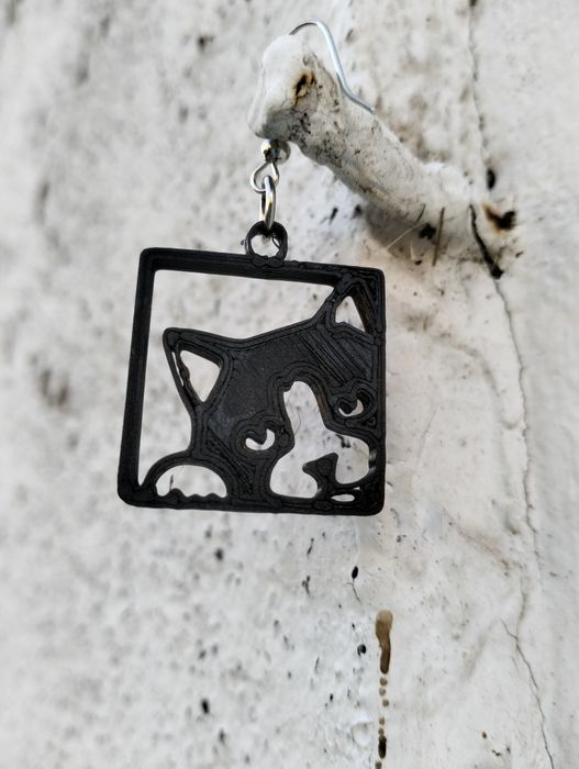 Brincos gato a espreitar