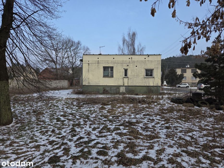 Działka 1440 m² przy asfaltowej drodze | 500 m od jeziora | Pawilon - Widok 2