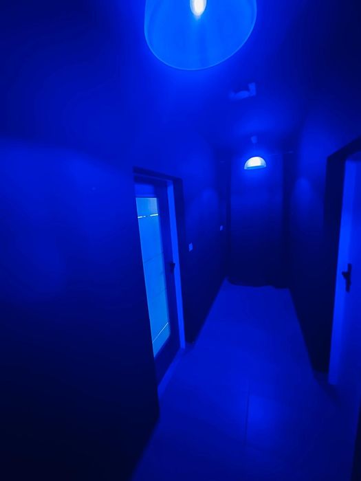 Lokal do wynajęcia w  solarium