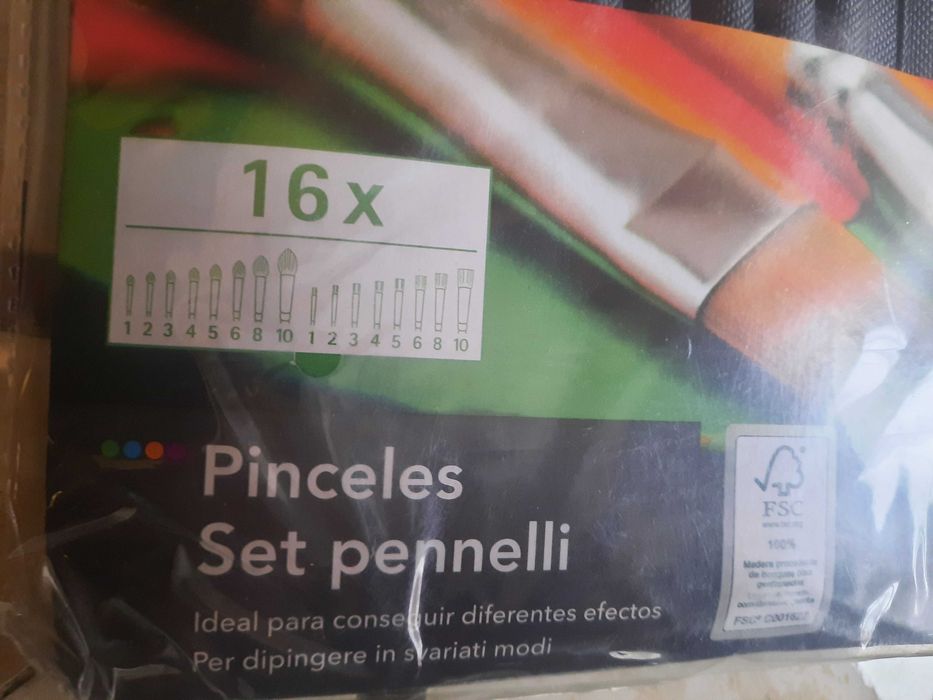 Estojo com 16 pincéis