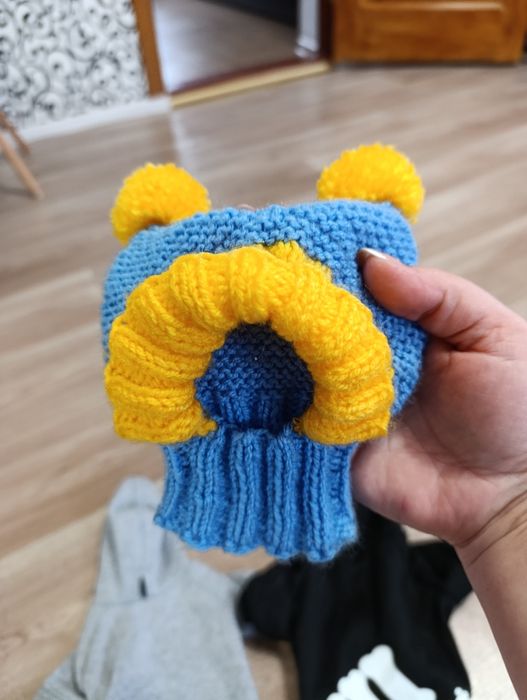 Одяг для чіхуахуа