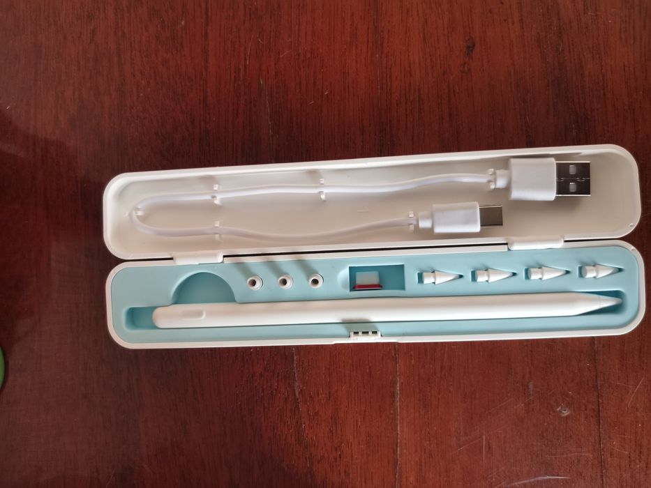 Стилус  у  кейсі