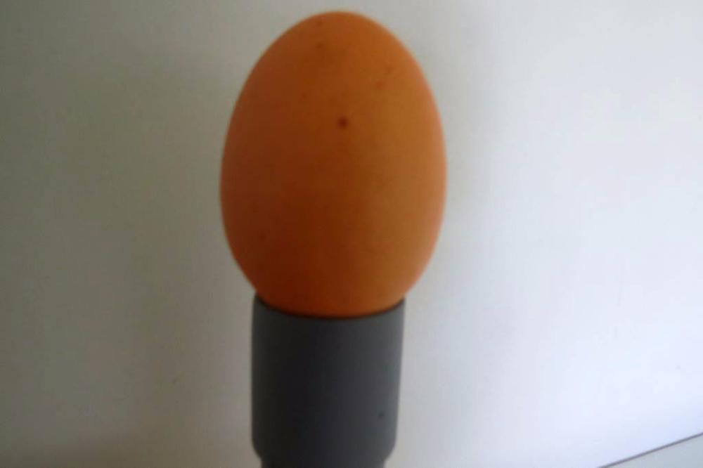 Lanternas mira-ovos / Ovoscópio super LED, a pilhas (novas)