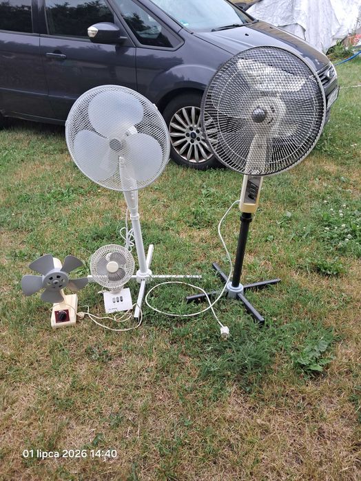 Wentylator stołowy