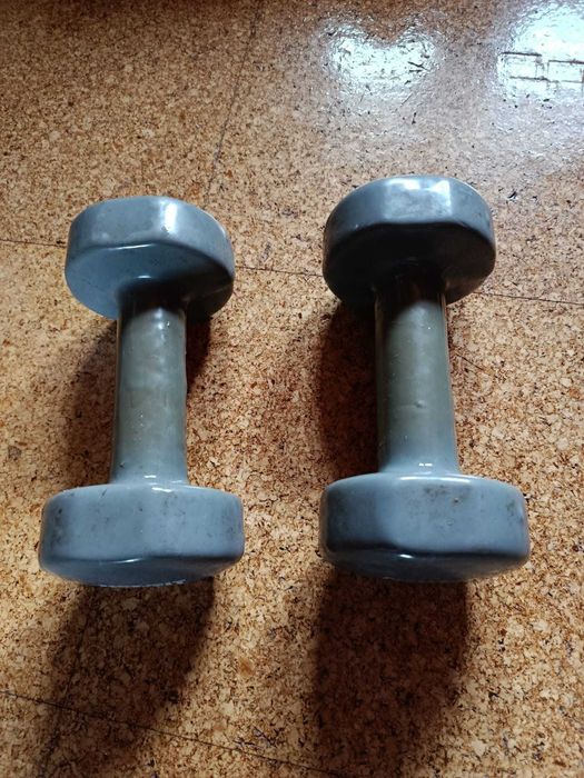 Par de Halteres 5kg 2ºmão