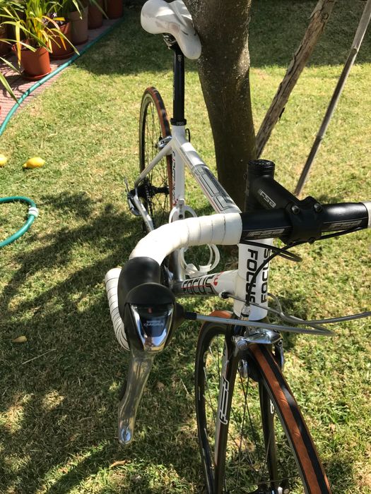 Bicicleta Focus estrada