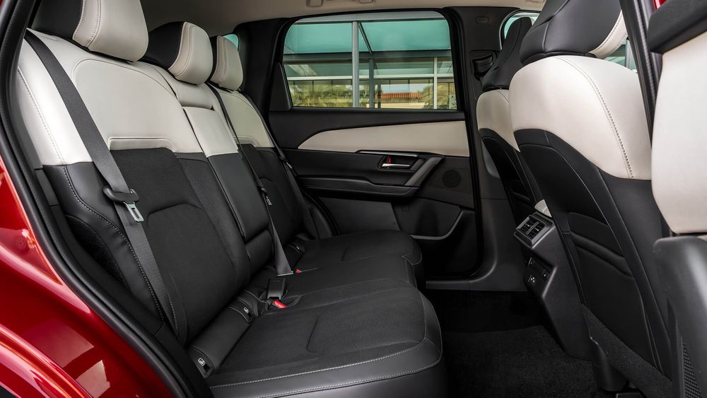 Zdjęcie w galerii numer 8