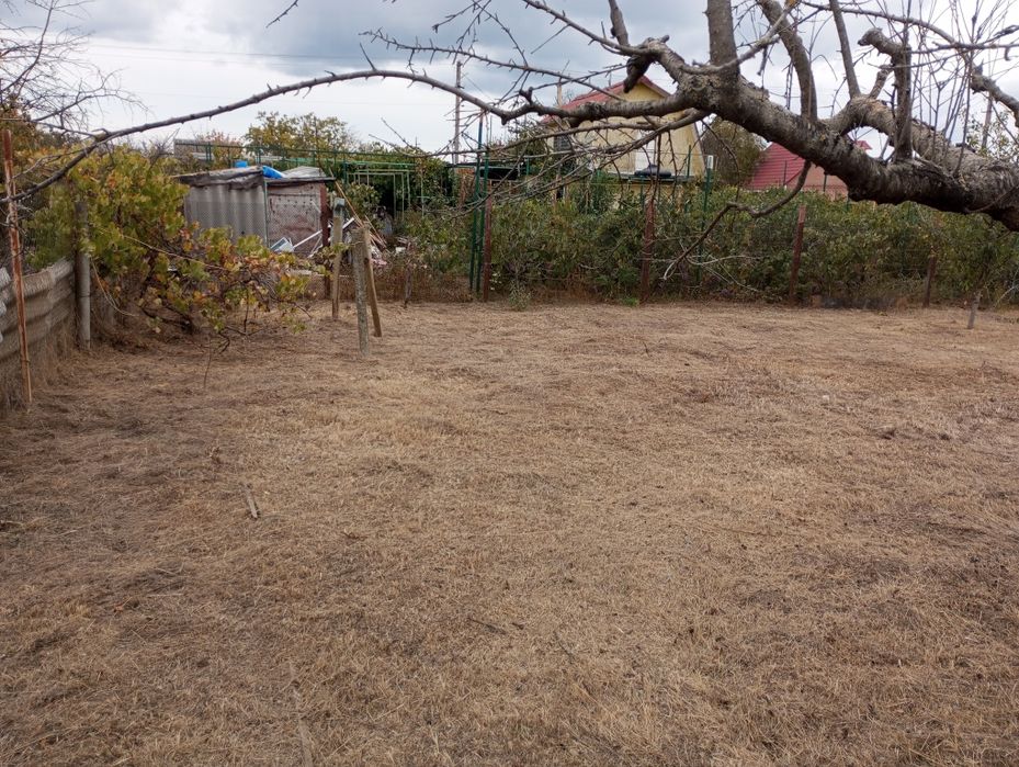 Покос трави,спіл дерев, уборка ділянок