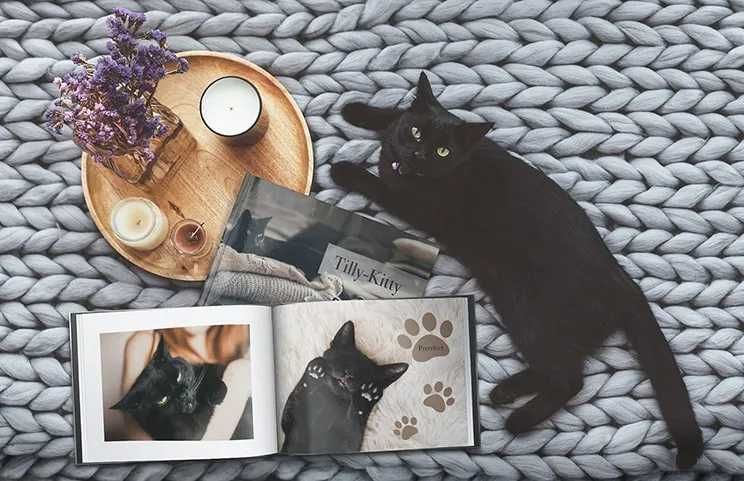 Sessão de fotografia + álbum profissional de animais de estimação