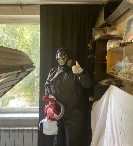 Обробка від тарганів, професійна дезинфекція дезинсекція дератизація